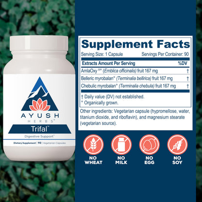 Ayush Herbs Trifal Digestive Support with Amla - Triphala Supplement for Women & Men, Promotes Balanced Digestion, Antioxidant Rich, Made with Organic Ingredients - 90 Vegetarian Capsules (1 Count) Ayush HerbsBuy Supplements Australia