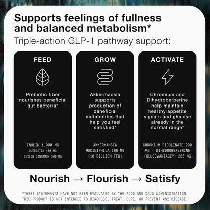 Toniiq GLP-1 Support — with Clinically Studied, Patented GlucoVantage® Dihydroberberine and Akkermansia — Appetite and Fullness Support — 120 Capsules (60-Day Supply) Toniiq buy supplements Au