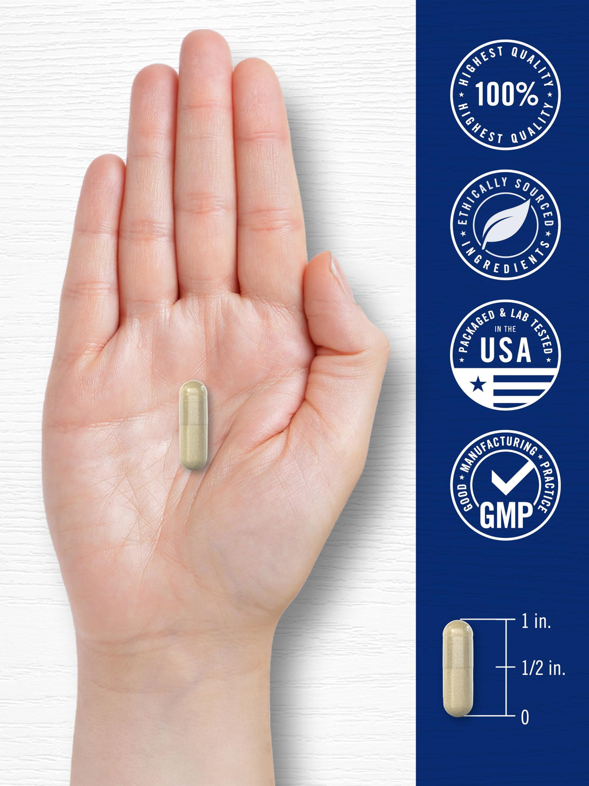 Carlyle Cortisol Supplement | 60 Vegan Capsules | Ashwagandha & Magnesium Complex | Non-GMO, Gluten Free CarlyleBuy Supplements Australia