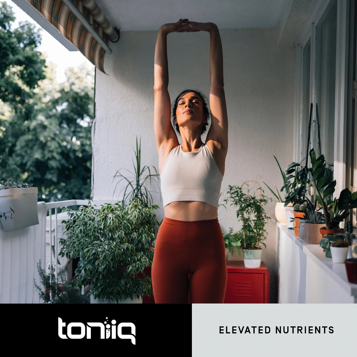 Toniiq Lactobacillus Plantarum – 100 Billion CFU High-Strength Single-Strain Probiotic with FOS – Delayed-Release Veggie Capsules – Third-Party Tested Potency – 60 Capsules Toniiq buy supplements Au