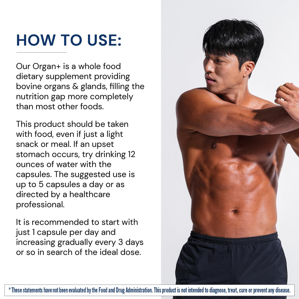 BodyHealth Organ+ Grass-Fed Glandular Organ Complex, Grassfed Beef Organ Supplement, Dessicated Beef Liver, Heart, Kidney, Pancreas, Spleen, Non GMO, Adrenal, Supplement, (150 Capsules) BodyHealthBuy Supplements Australia