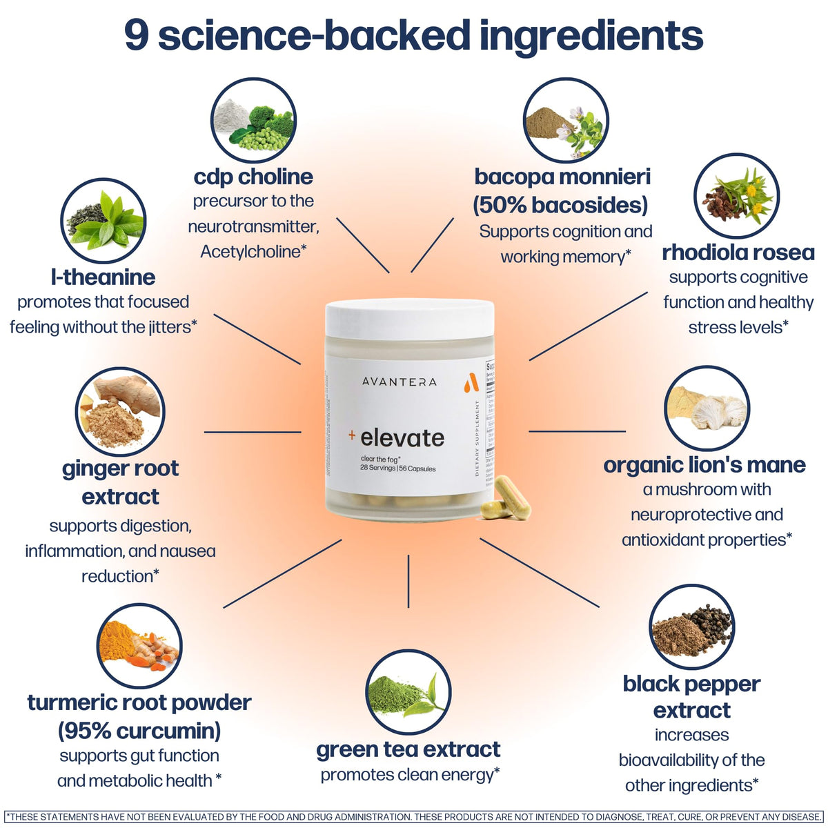 Avantera Elevate Premium Nootropic Supplement - Beat Brain Fog - Best Focus Supplements for Memory & Focus Support - Energy Without Crash