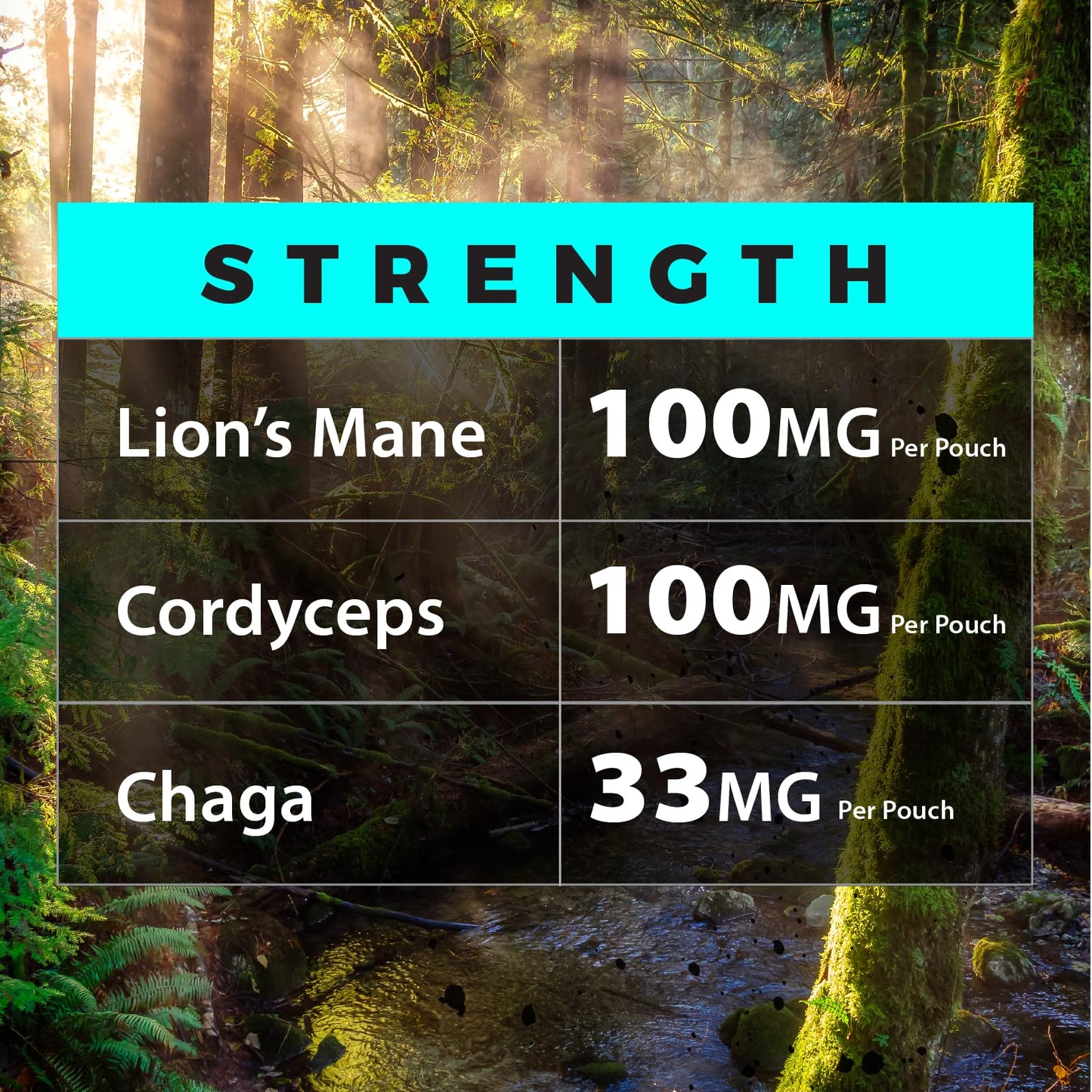 Fully Loaded Alpha Mushroom Pouches - Adaptogen Nootropic Pouches (5-Pack, Vanilla) - Lion's Mane, Cordyceps, & Chaga - 5 cans, 15 Pouches per can - Functional Mushrooms - Made in the USA Fully Loaded BullseyeBuy Supplements Australia