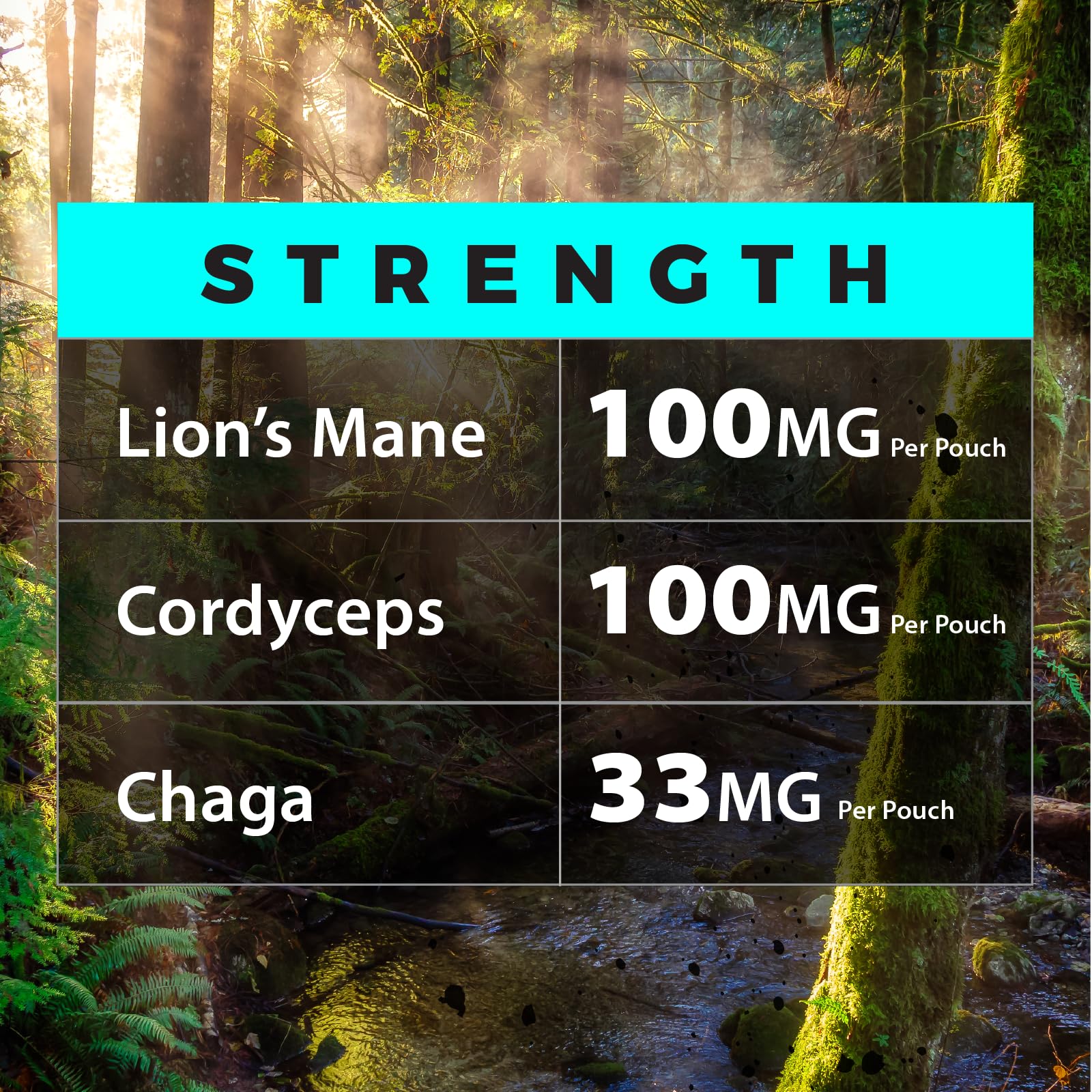 Fully Loaded Alpha Mushroom Pouches - Adaptogen Nootropic Pouches (5-Pack, Vanilla) - Lion's Mane, Cordyceps, & Chaga - 5 cans, 15 Pouches per can - Functional Mushrooms - Made in the USA Fully Loaded BullseyeBuy Supplements Australia