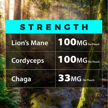 Fully Loaded Alpha Mushroom Pouches - Adaptogen Nootropic Pouches (5-Pack, Vanilla) - Lion's Mane, Cordyceps, & Chaga - 5 cans, 15 Pouches per can - Functional Mushrooms - Made in the USA Fully Loaded BullseyeBuy Supplements Australia