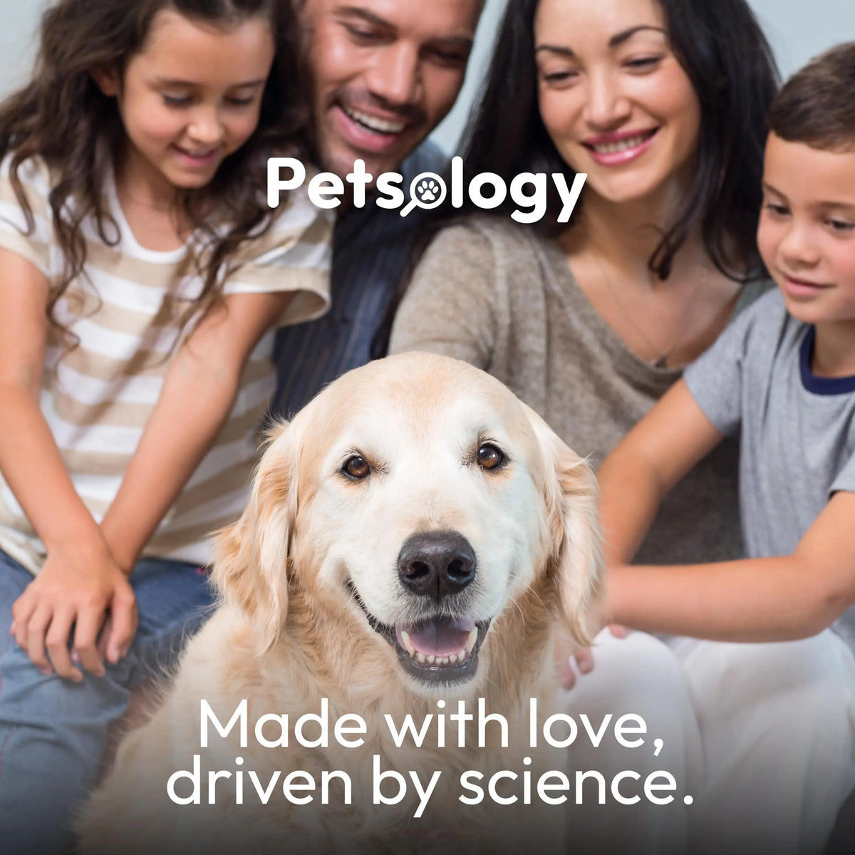Probiotics for Dogs - 170 Dog Probiotics Chews - Digestive Enzymes & Prebiotics - Support Gut Health, Diarrhea, Gas & Constipation Relief - Itchy Skin, Allergies, Yeast Balance - Advanced Supplement Petsology buy supplements Au