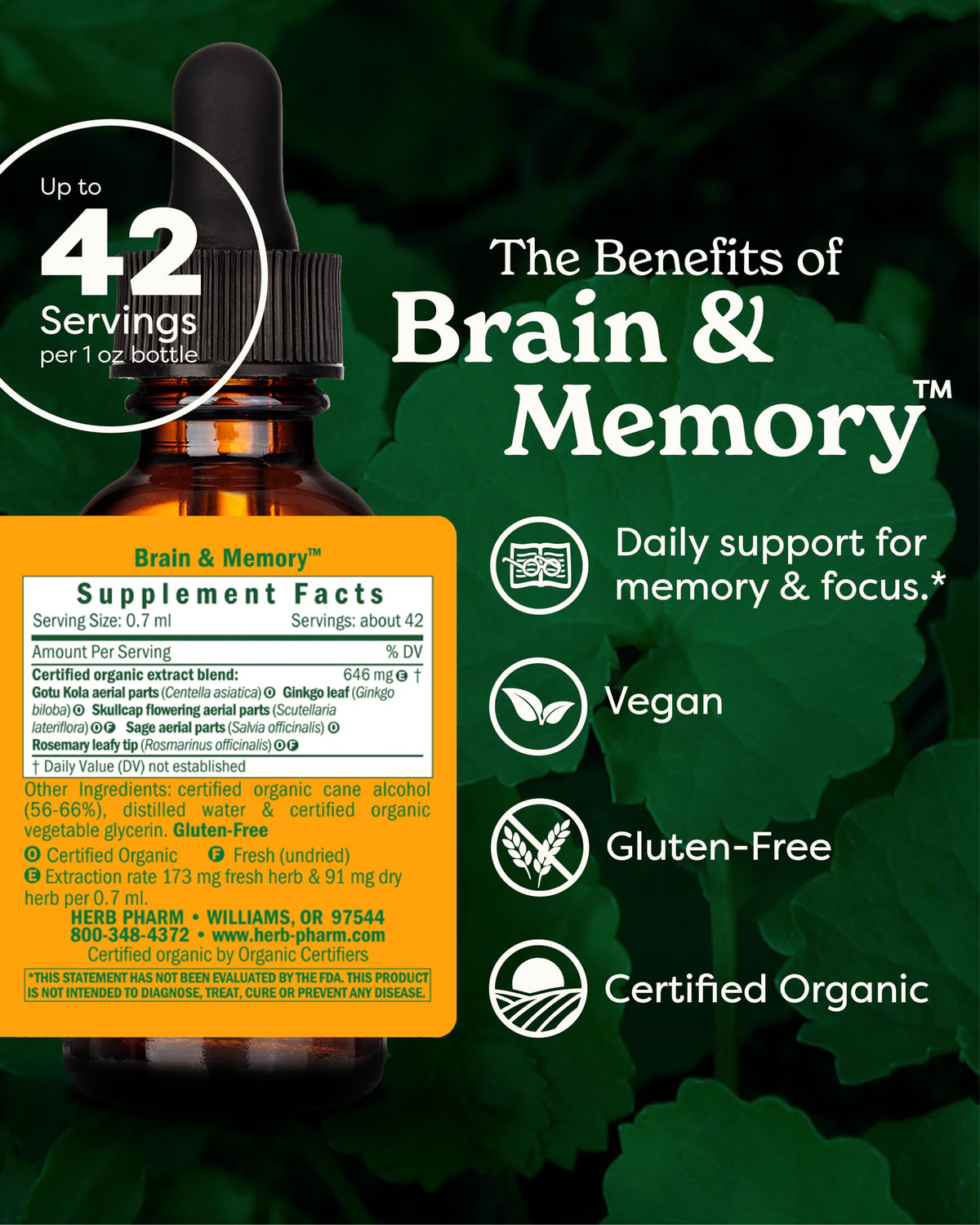 Herb Pharm Organic Nootropic Brain & Memory Supplement with Ginkgo Biloba Liquid Extract: Fast Absorption for Mental Focus Support, Ginkgo Supplement, Vegan, Gluten-Free, Non-GMO, 1 Oz Herb PharmBuy Supplements Australia