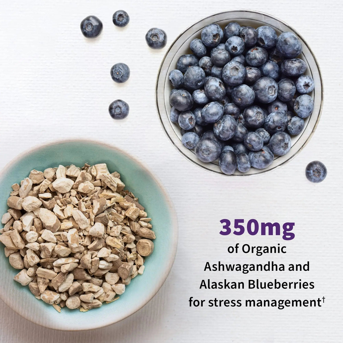 Garden of Life Probiotics Mood+ Dr Formulated Acidophilus Probiotic Supplement - Promotes Emotional Well-Being, Relaxation and Digestive Balance - Ashwagandha for Stress Management, 60 Veggie Caps Garden of LifeBuy Supplements Australia