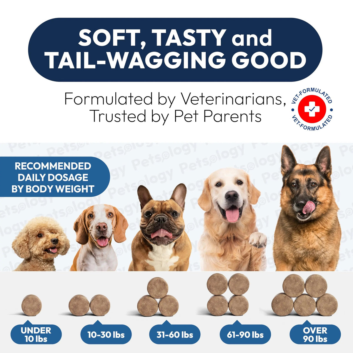 Probiotics for Dogs - 170 Dog Probiotics Chews - Digestive Enzymes & Prebiotics - Support Gut Health, Diarrhea, Gas & Constipation Relief - Itchy Skin, Allergies, Yeast Balance - Advanced Supplement Petsology buy supplements Au