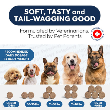 Probiotics for Dogs - 170 Dog Probiotics Chews - Digestive Enzymes & Prebiotics - Support Gut Health, Diarrhea, Gas & Constipation Relief - Itchy Skin, Allergies, Yeast Balance - Advanced Supplement Petsology buy supplements Au