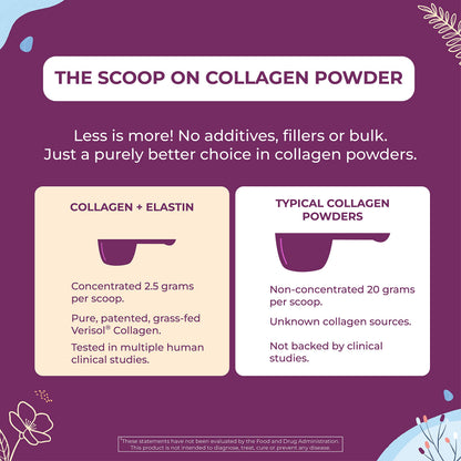 Body Kitchen Collagen + 250 mg Elastin – Supports Skin Hydration, Elasticity & Healthy Aging, Unflavored Powder (30 Servings) Body Kitchen buy supplements Au