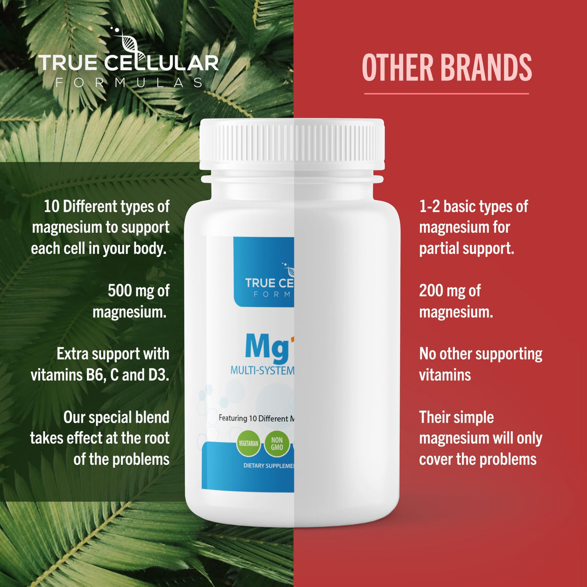 True Cellular Formulas Mg10X Multi-System Magnesium | Supplement to Support Sleep - 60 Capsules | Enhanced Sleep, Immune System & Metabolic Support | Includes Magnesium Glycinate, Citrate and More True Cellular FormulasBuy Supplements Australia