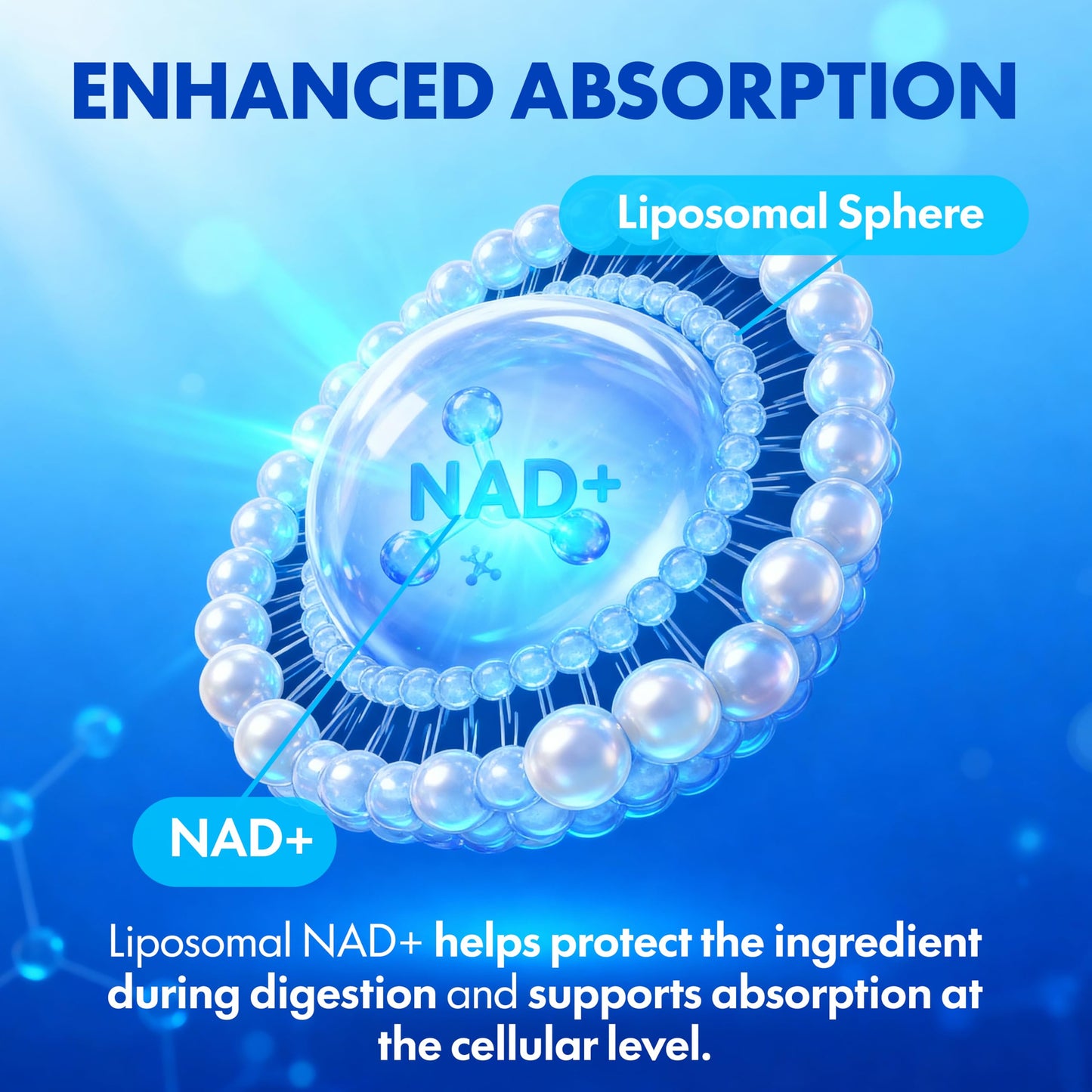 Blue Haven Rx NAD+ Supplement - NMN Alternative with Liposomal NAD+, Trans Resveratrol, Manganese, Apigenin Plus Pterostilbene for Women and Men, Anti Aging Support Blue Haven RxBuy Supplements Australia