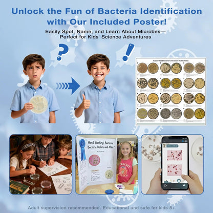 Giant Microbiology Bacteria Science Kit for Kids:2 XL 150mm Prepoured Nutrient Agar Plates, Petri Dishes with Agar & Colony Characteristics Poster for School Projects & Educational Gifts MosynexBuy Supplements Australia