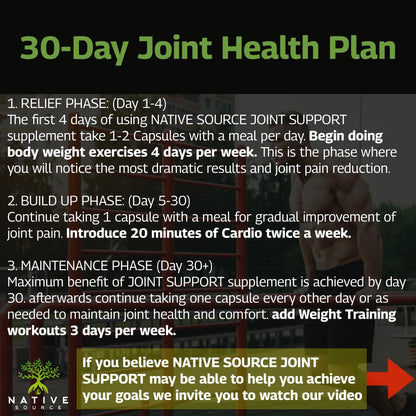 Native Source Joint Support Supplement - Turmeric - Tamarind - Boswellia - Fenugreek Native SourceBuy Supplements Australia