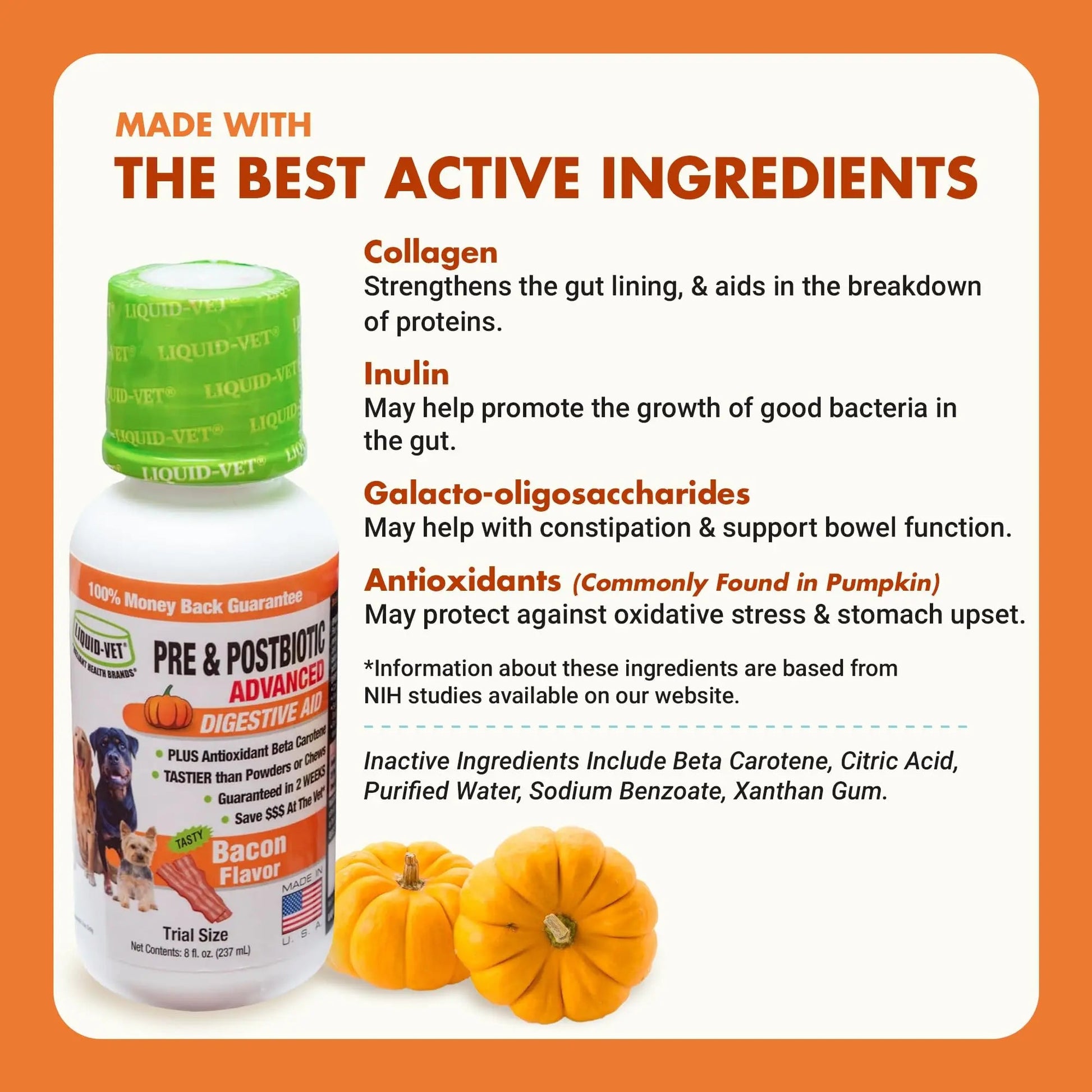 Pre & PostBiotic Support for Dogs – Digestive Upset, Stool Quality & Sensitive Stomach Support – Easy Liquid Formula for Picky Eaters LIQUID-VETBuy Supplements Australia