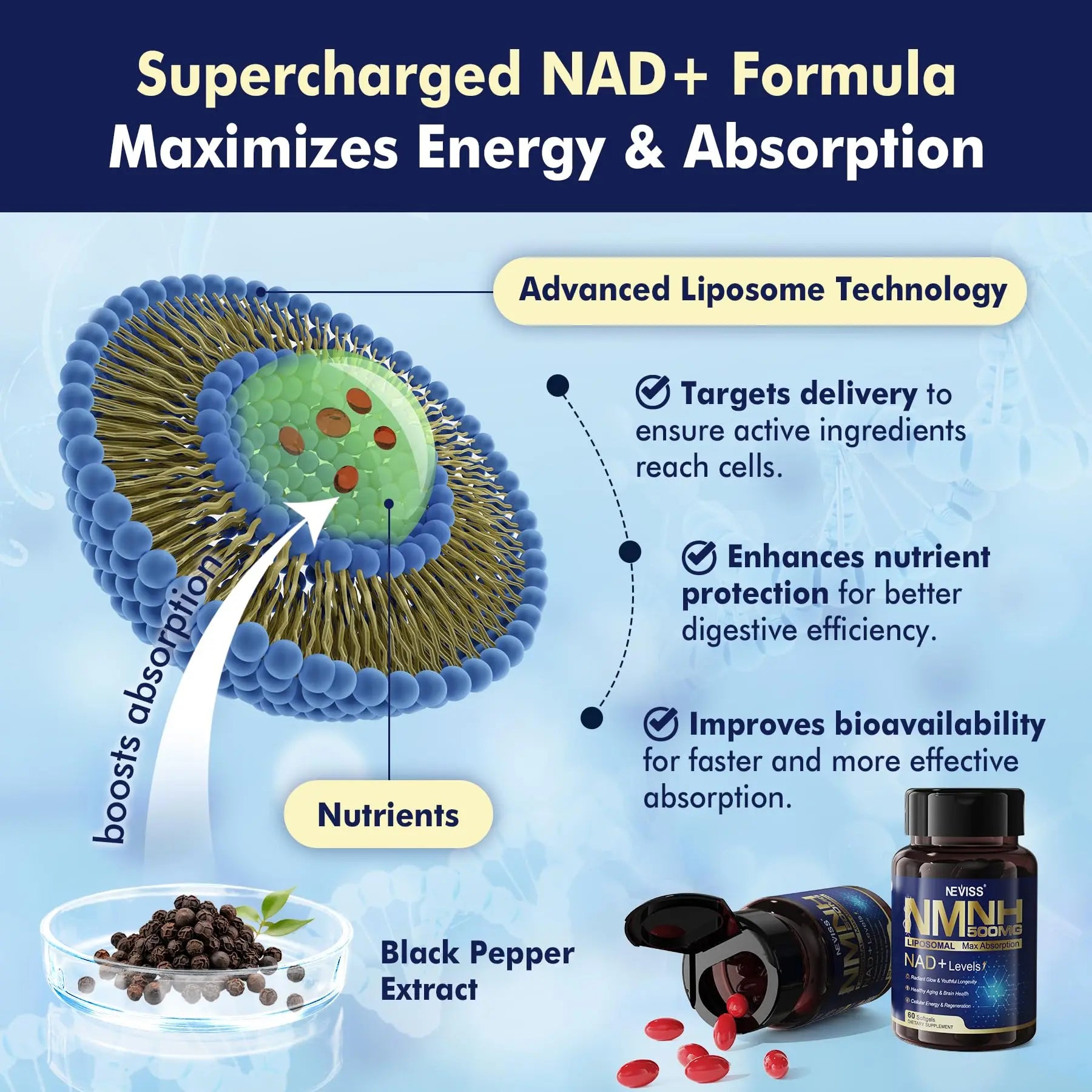 2Pack NAD+ Supplement, Next-Gen NMNH Liposomal 500mg, NR NMN Supplement Alternative, High Absorption NAD+ with Curcumin, Niacinamide for Cellular Energy, DNA Repair, Healthy Aging, 120 Softgels NEVISSBuy Supplements Australia