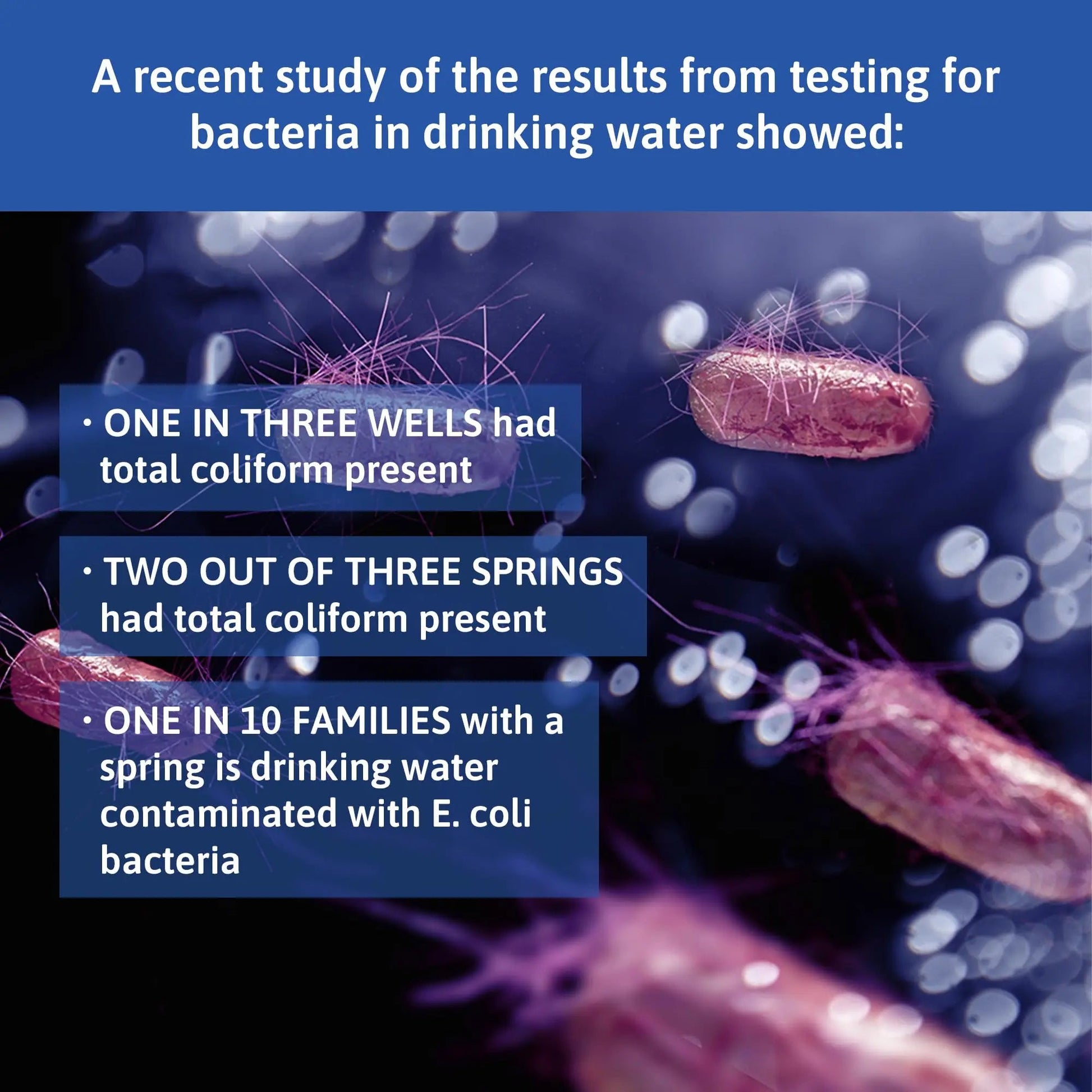 Exploro® Bacteria Water Test Kit, Pond Water Test Kit, Pool Water Testing Kit, Water Testing Kits for Drinking Water for Coliform (E. coli), EPA Approved Pool Test Kit (1 Pack) ExploroBuy Supplements Australia