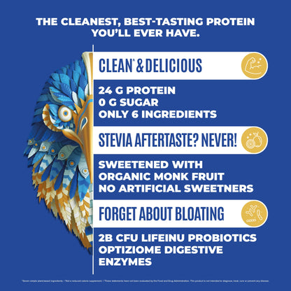 BIRDMAN Falcon Vegan Protein Powder Organic, Stevia & Sugar Free, Plant Based Protein BIRDMANBuy Supplements Australia