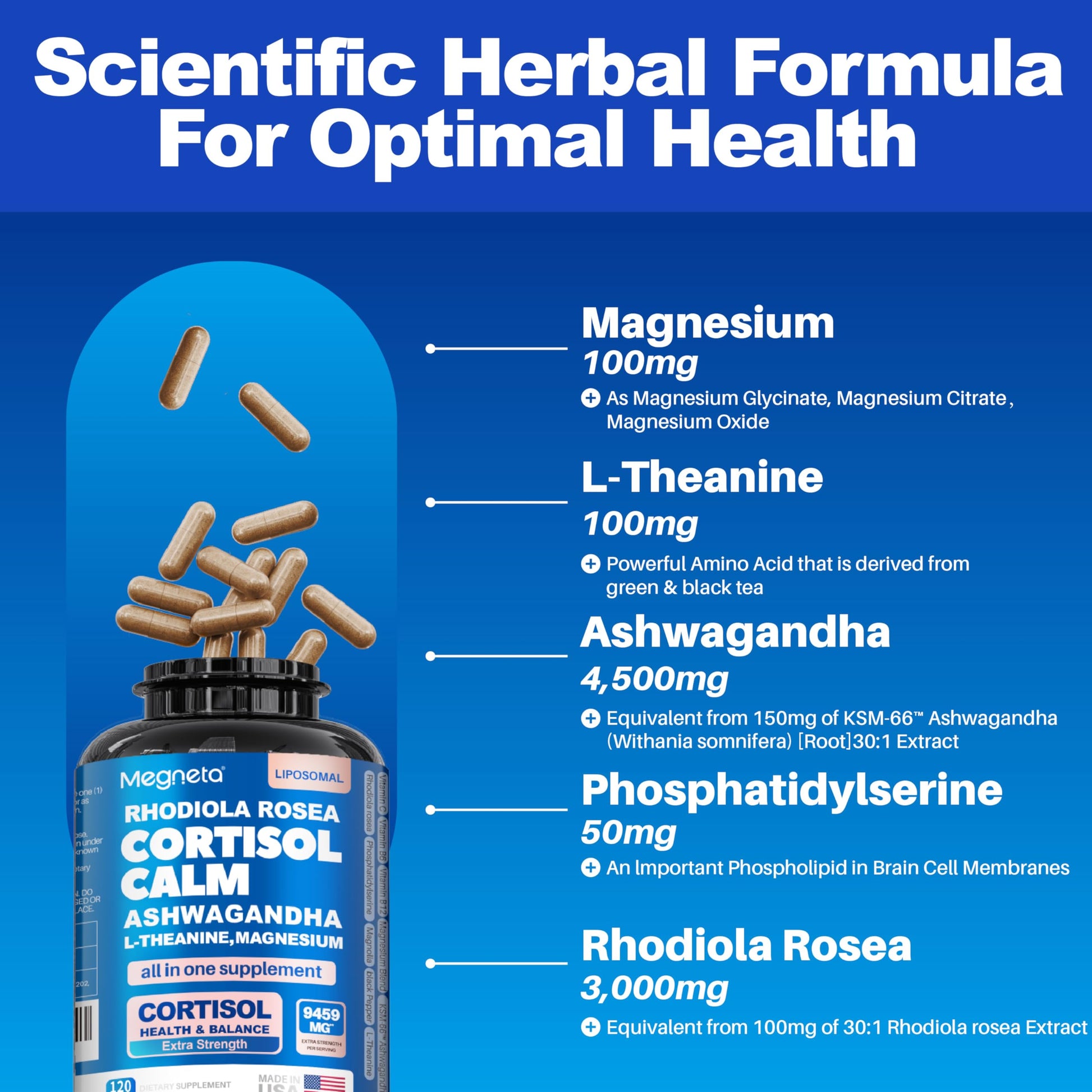 Cortisol Balance & Sleep Support for Women & Men – Natural Calm Formula with Magnesium, Ashwagandha & L-Theanine – Supports Restful Sleep, Relaxation, Focus & Healthy Cortisol Levels – 120 Capsules MEGNETABuy Supplements Australia