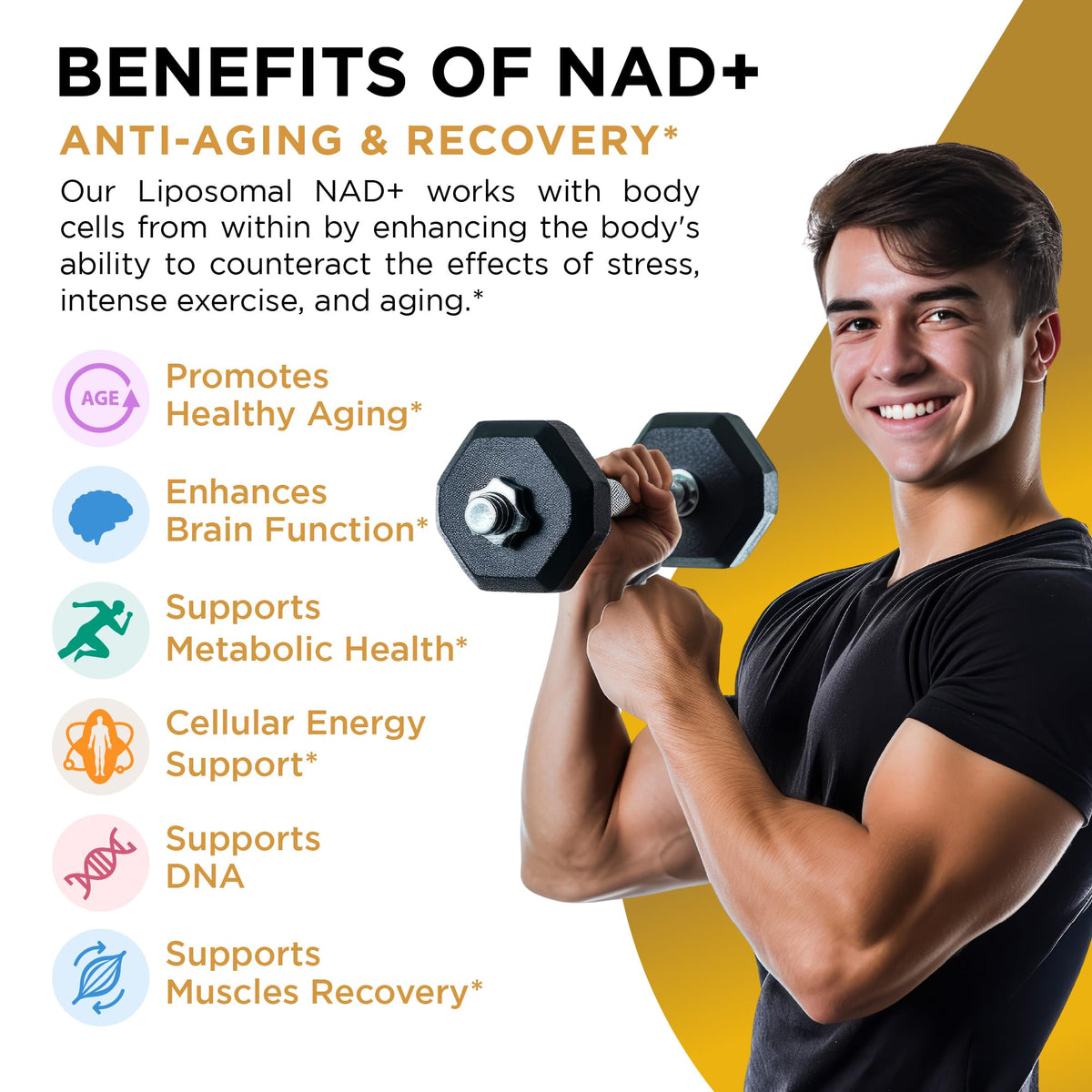 NAD+ Supplement Liposomal Capsules - Max Absorption for Cellular Energy, Healthy Aging, Brain Function & DNA Health - Vegan, Non-GMO, Gluten-Free Supplement - 60 Capsules - Supports NAD Levels AuroraSynthBuy Supplements Australia