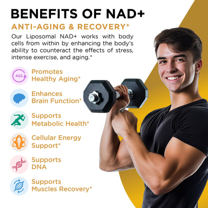NAD+ Supplement Liposomal Capsules - Max Absorption for Cellular Energy, Healthy Aging, Brain Function & DNA Health - Vegan, Non-GMO, Gluten-Free Supplement - 60 Capsules - Supports NAD Levels AuroraSynthBuy Supplements Australia