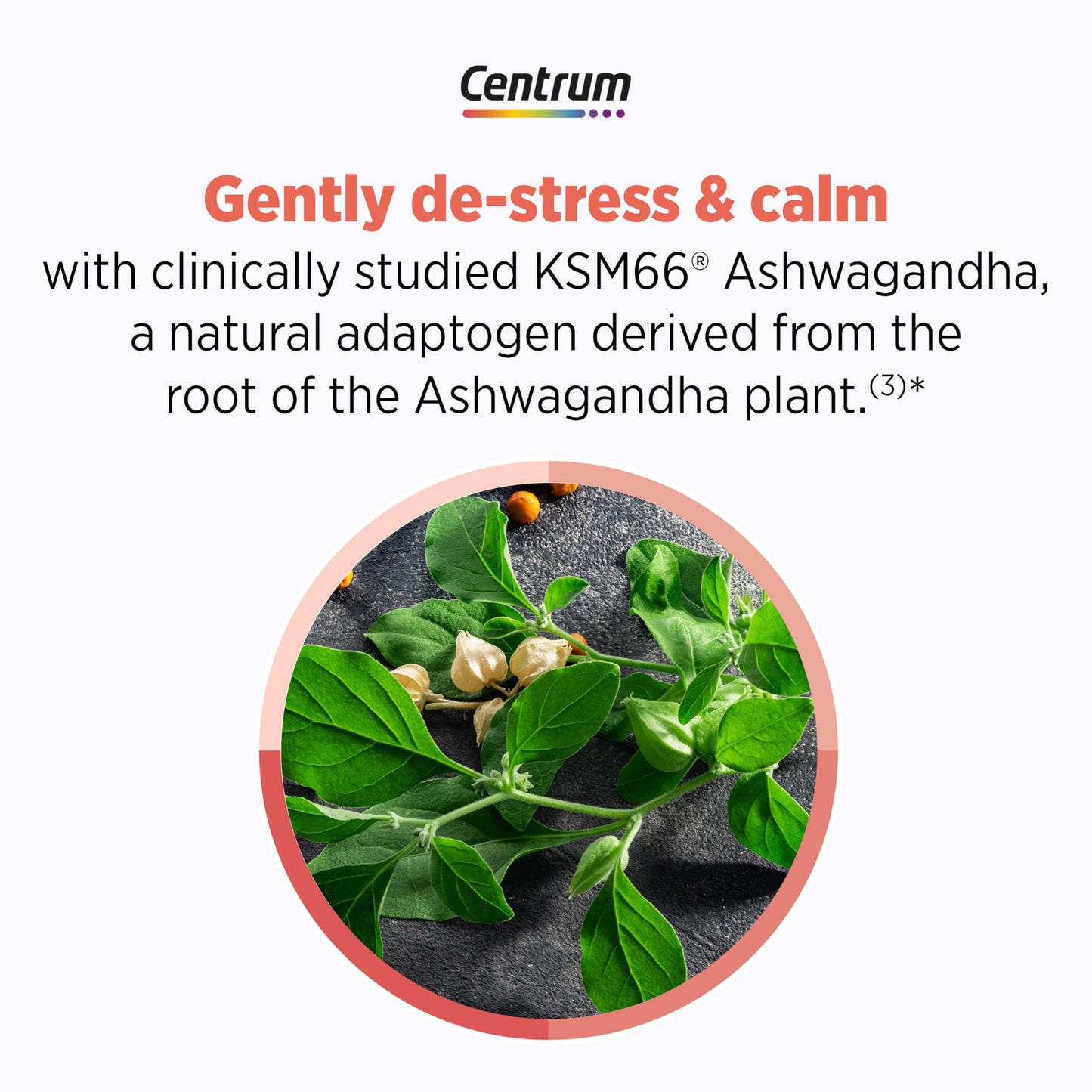 Centrum Clear Mind and Calm Mood Menopause Support Tablets, with Clinically Studied enXtra, 30 Count CentrumBuy Supplements Australia