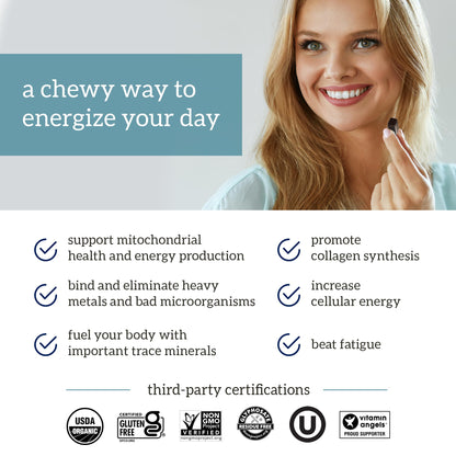 Organifi - Shilajit Gummies - Supports Natural Energy and Strength - Vanilla Cinnamon OrganifiBuy Supplements Australia