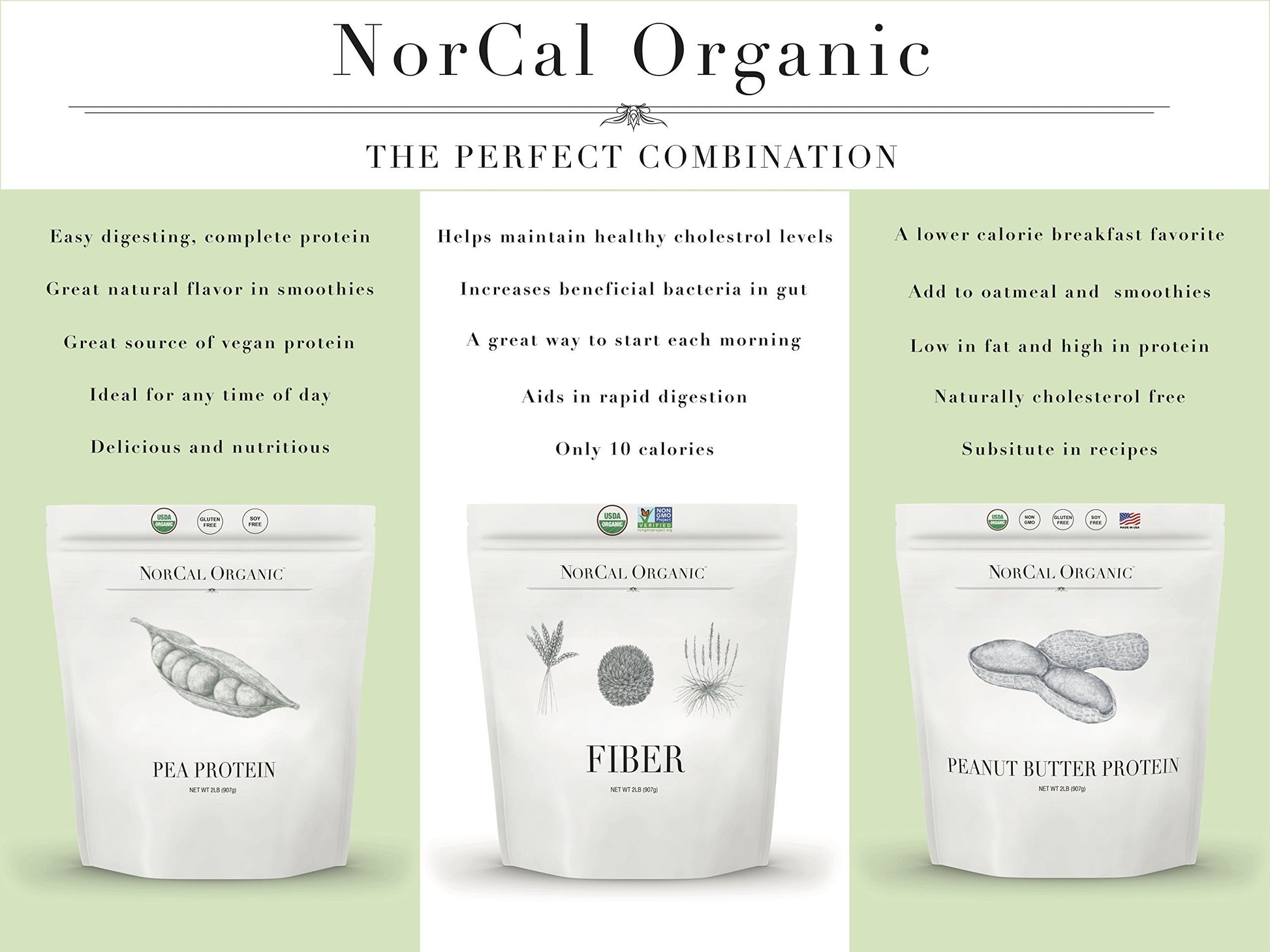 Norcal Organic Peanut Butter Protein Powder - 2lb | Vegan, Low-Cal, 11g Protein NorCal OrganicBuy Supplements Australia