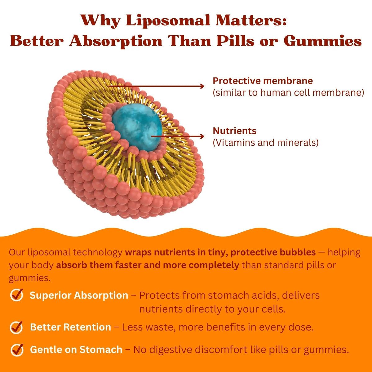 Vitaminally Women’s 50+ Liposomal Liquid Multivitamin – 16 Essential Vitamins & Minerals for Energy, Bone & Immune Support Vitaminally