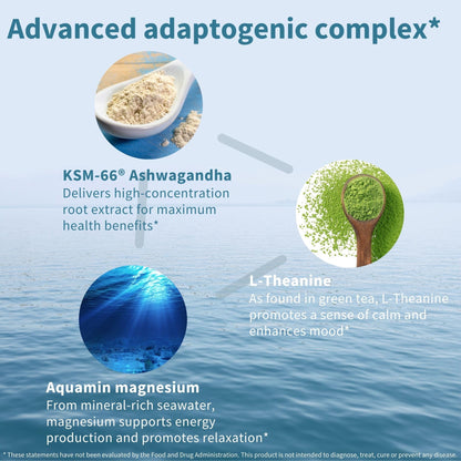 Igennus High Strength Ashwagandha, Magnesium, & L-Theanine Stress Relief Complex, KSM-66 Root Extract Adaptogens, Boosted with Methylfolate, Zinc & Biotin Clean Label, 60 Fast Acting Capsules Igennus Healthcare NutritionBuy Supplements Australia