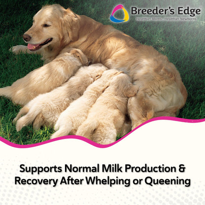 Breeder's Edge Oxy Momma Soft Chews, Postnatal Vitamin Supplement for Lactating Dogs and Cats, Supports Recovery, Hormones, and Next Pregnancy - for Small Dogs & Cats, 40ct Soft Chews Revival Animal HealthBuy Supplements Australia