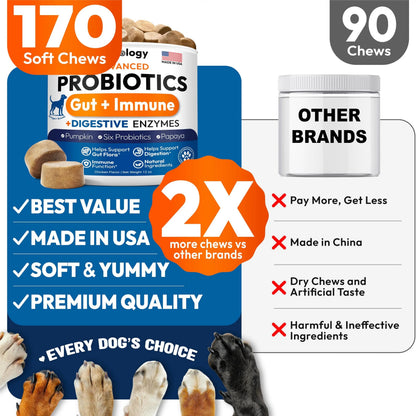 Probiotics for Dogs - 170 Dog Probiotics Chews - Digestive Enzymes & Prebiotics - Support Gut Health, Diarrhea, Gas & Constipation Relief - Itchy Skin, Allergies, Yeast Balance - Advanced Supplement Petsology buy supplements Au