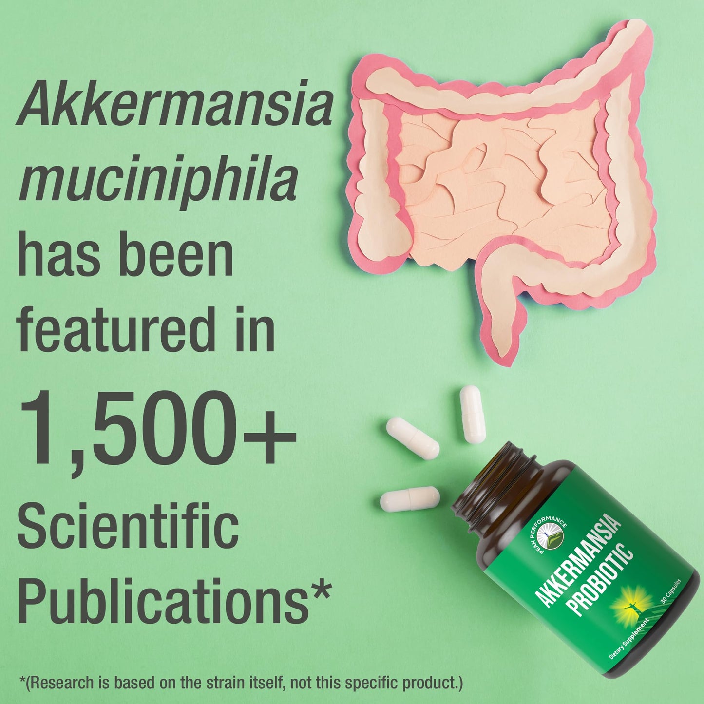Akkermansia Probiotic to Increase GLP-1 Production. Ultra High Strength Akkermansia Muciniphila Live Strain with Prebiotic Fiber for Gut Health & Microbiome Balance. Delayed Release, 3rd Party Tested Peak PerformanceBuy Supplements Australia