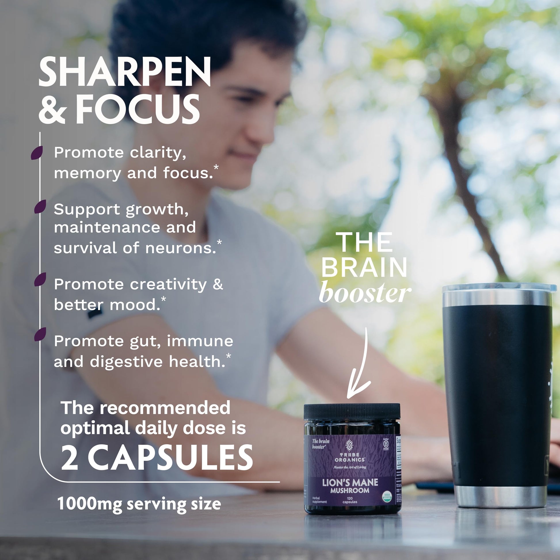 TRIBE ORGANICS Lion’s Mane Supplement 1000mg Mushroom Extract Powder - Immune System Booster & Brain Nootropic for Focus and Memory | Mental Clarity | Natural Energy and Immunity - 120 Vegan Capsules TRIBE ORGANICSBuy Supplements Australia