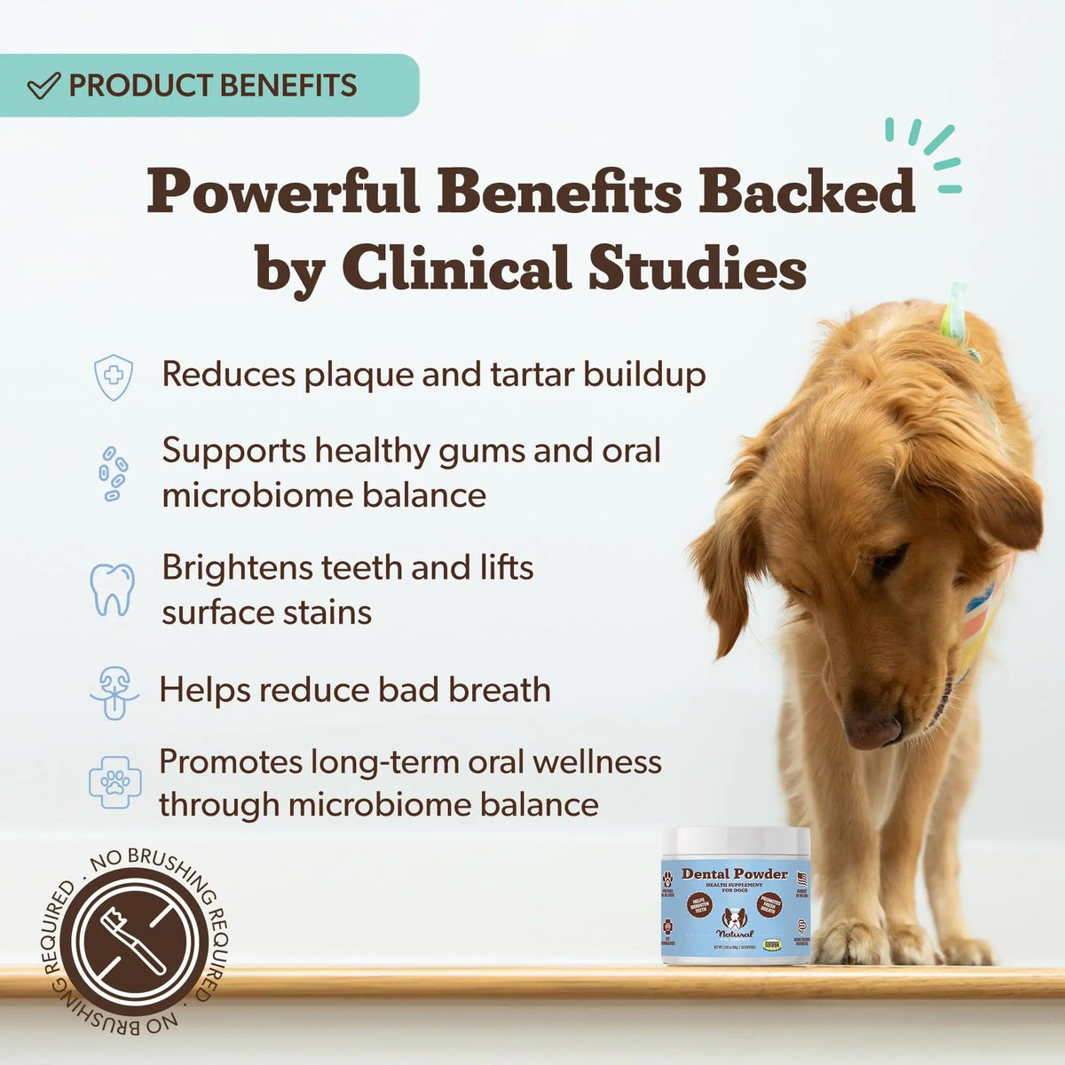 Natural Dog Company Dental Powder for Dogs – Freshens Breath & Helps Reduce Plaque & Tartar, Natural No-Brushing Canine Oral Health Postbiotic Supplement, Vet Formulated, Made in USA, 30-Day Supply Natural Dog CompanyBuy Supplements Australia