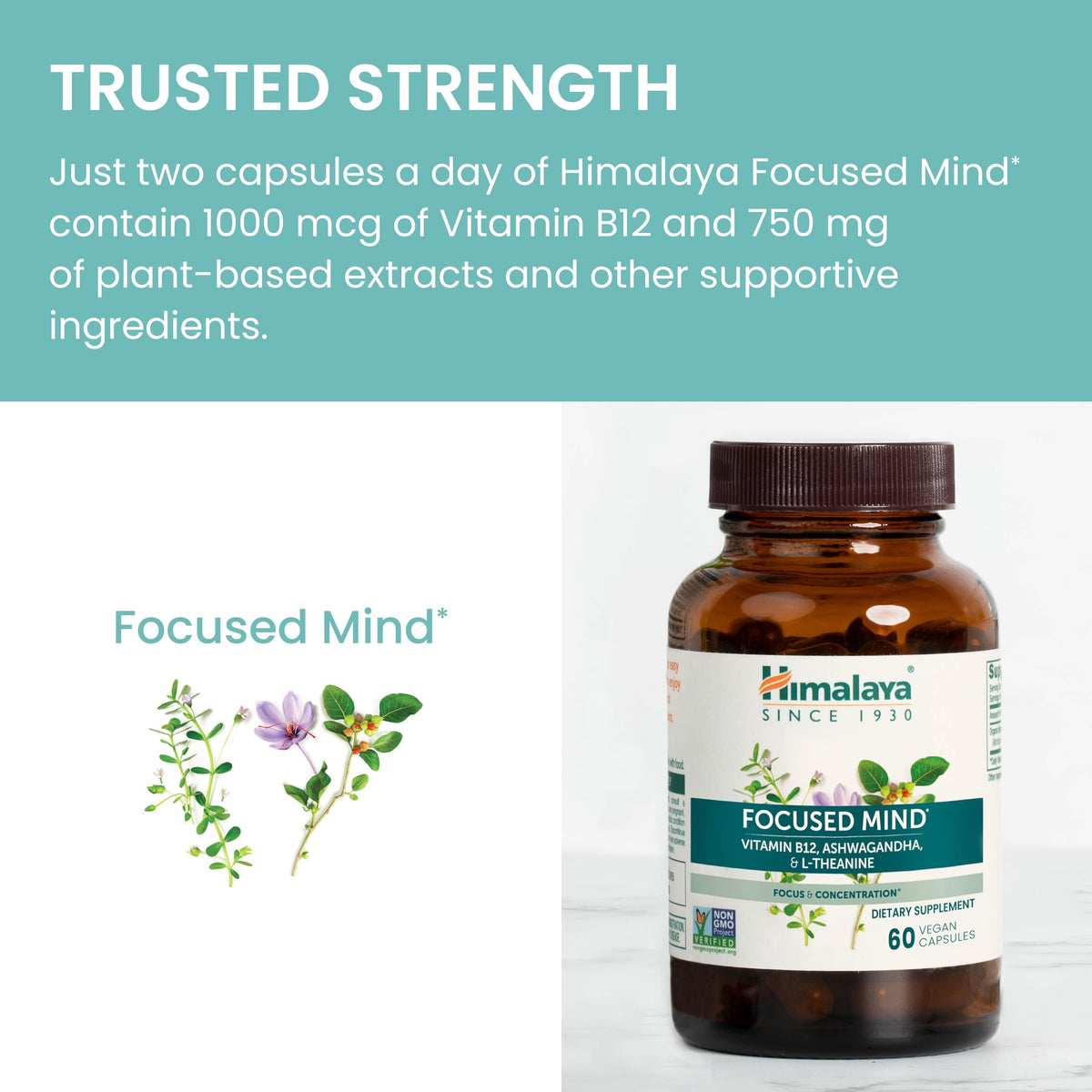 Himalaya Focused Mind Supplement, with Ashwagandha, Bacopa & L-Theanine for Attention, Focus and Energy Support, 60 Vegan Capsules, Gluten Free, 1 Month Supply HimalayaBuy Supplements Australia