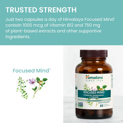 Himalaya Focused Mind Supplement, with Ashwagandha, Bacopa & L-Theanine for Attention, Focus and Energy Support, 60 Vegan Capsules, Gluten Free, 1 Month Supply HimalayaBuy Supplements Australia