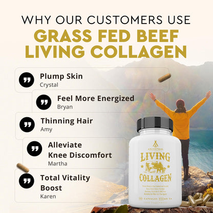Ancestral Supplements Grass Fed Beef Living Collagen Nutritional Powder Supplement, 3000mg, Promotes Healthier, Younger Looking Skin, Hair, Nails and Joints, Type II, 180 Capsules Ancestral Supplements buy supplements Au