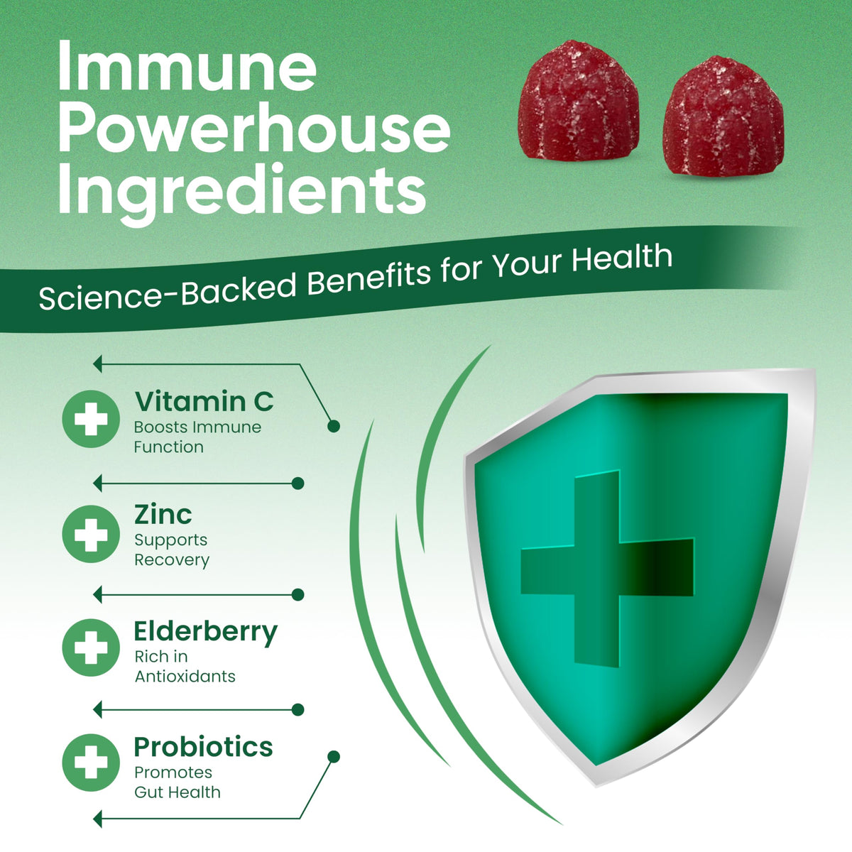 Haydar Marketplace Immune Boosters for Adults - Vegan Immune Support Gummies with Vitamins C & D, Zinc, Magnesium, Probiotics Haydar MarketplaceBuy Supplements Australia