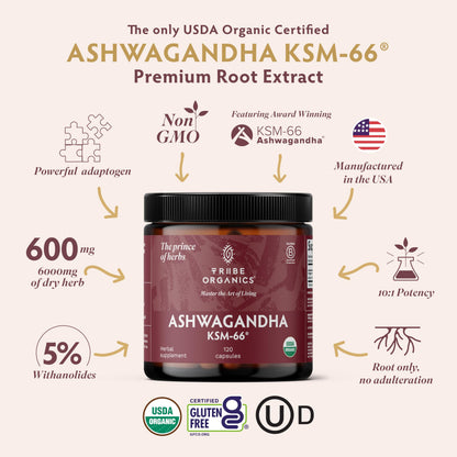 TRIBE ORGANICS Ashwagandha KSM 66 Pure Organic Root Powder Extract Ayurvedic Supplement - Focus, Mood Support, Increase Energy, Strength, 600mg of Natural KSM66 for Superior Absorption - 120 Capsules TRIBE ORGANICSBuy Supplements Australia