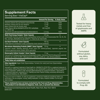 Seed AM-02 Energy + Focus - Daily Nootropic Supplement for Women & Men - Fast-Acting & Sustained Energy for Up to 6 Hours - Caffeine-Free Vegan & Shelf-Stable - 30 Capsules (30-Day Supply) Seed buy supplements Au