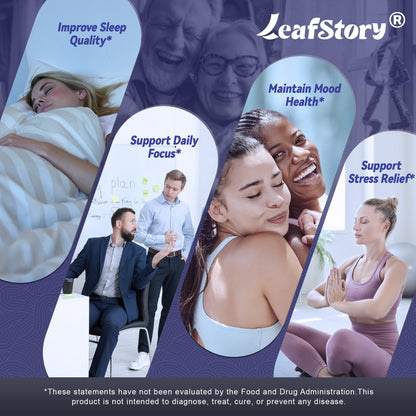 LeafStory Nootropic Brain Supplements for Memory and Focus, Cognitive Function for Mental Health & Clarity, Vitamin B6 B12, Folate & Dihydromyricetin, 60 Capsules LeafStoryBuy Supplements Australia