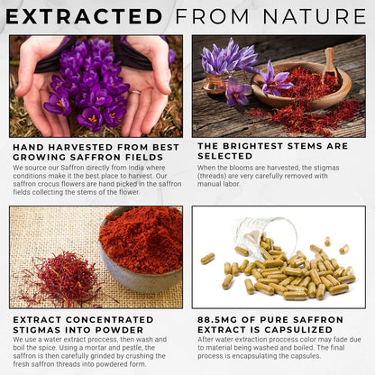 ACEWORKZ 100% Pure Saffron Extract - Appetite Suppressant for Weight Loss - Metabolis ACEWORKZBuy Supplements Australia