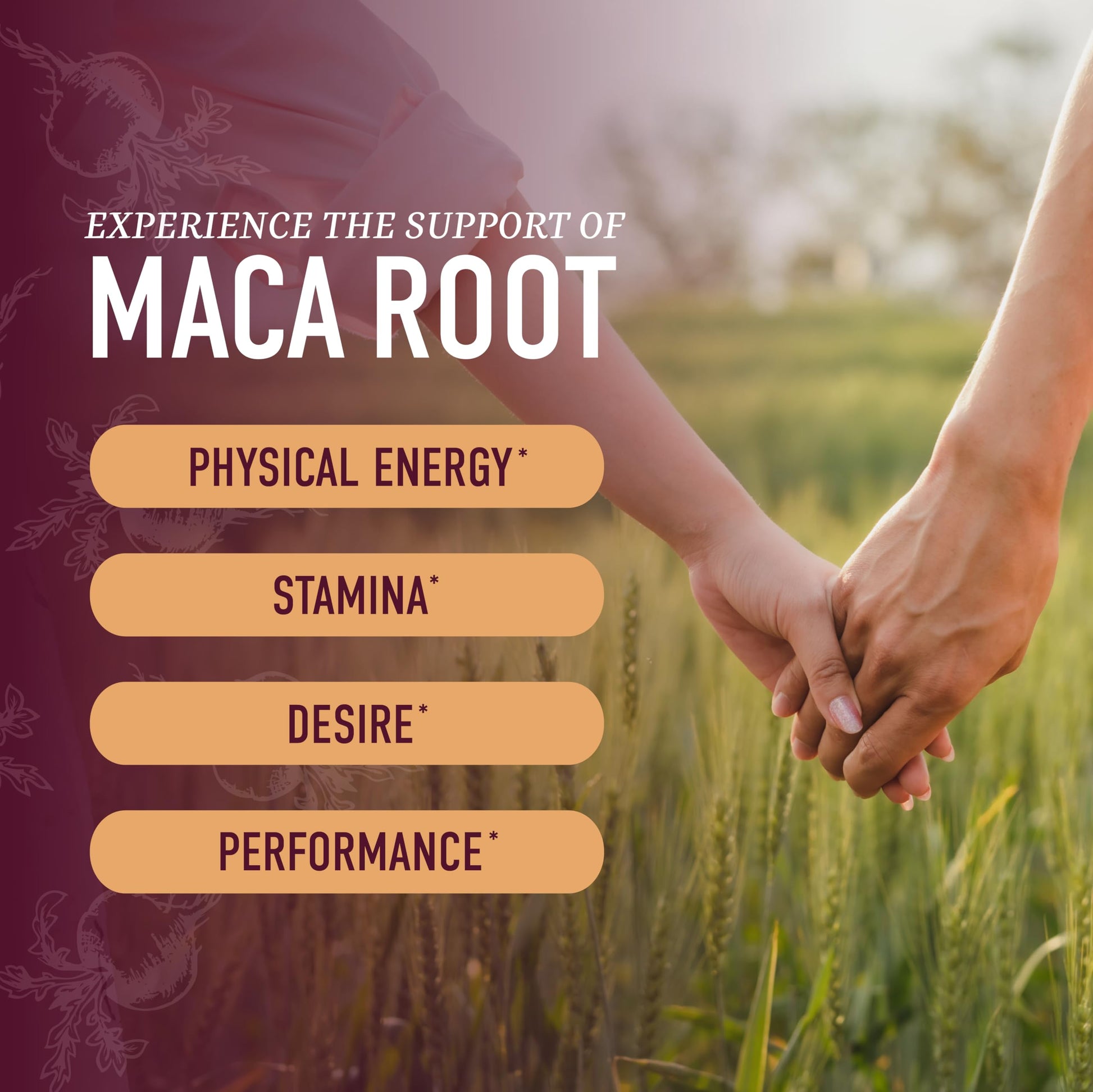 Maca Root Gummies with Natural Peach Flavor | Drive, Performance & Energy Support | Hormone Balance for Women and Men | Herbal Supplements 200MG Extra Strength | Vegetarian, Non-GMO | 60 Gummies SMNutritionBuy Supplements Australia