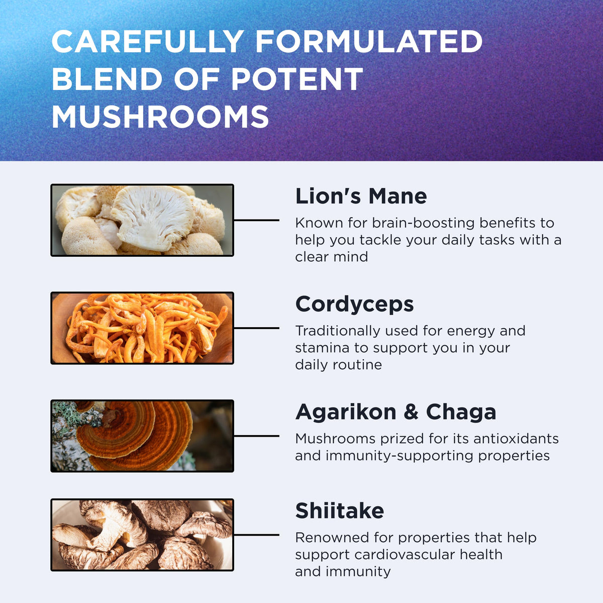 DR. EMIL NUTRITION 10 Mushroom Supplement for Mental Clarity, Focus & Immune Support - Functional Mushroom Nootropic Supplement with Lions Mane Extract, Cordyceps, Turkey Tail & More DR. EMIL NUTRITIONBuy Supplements Australia