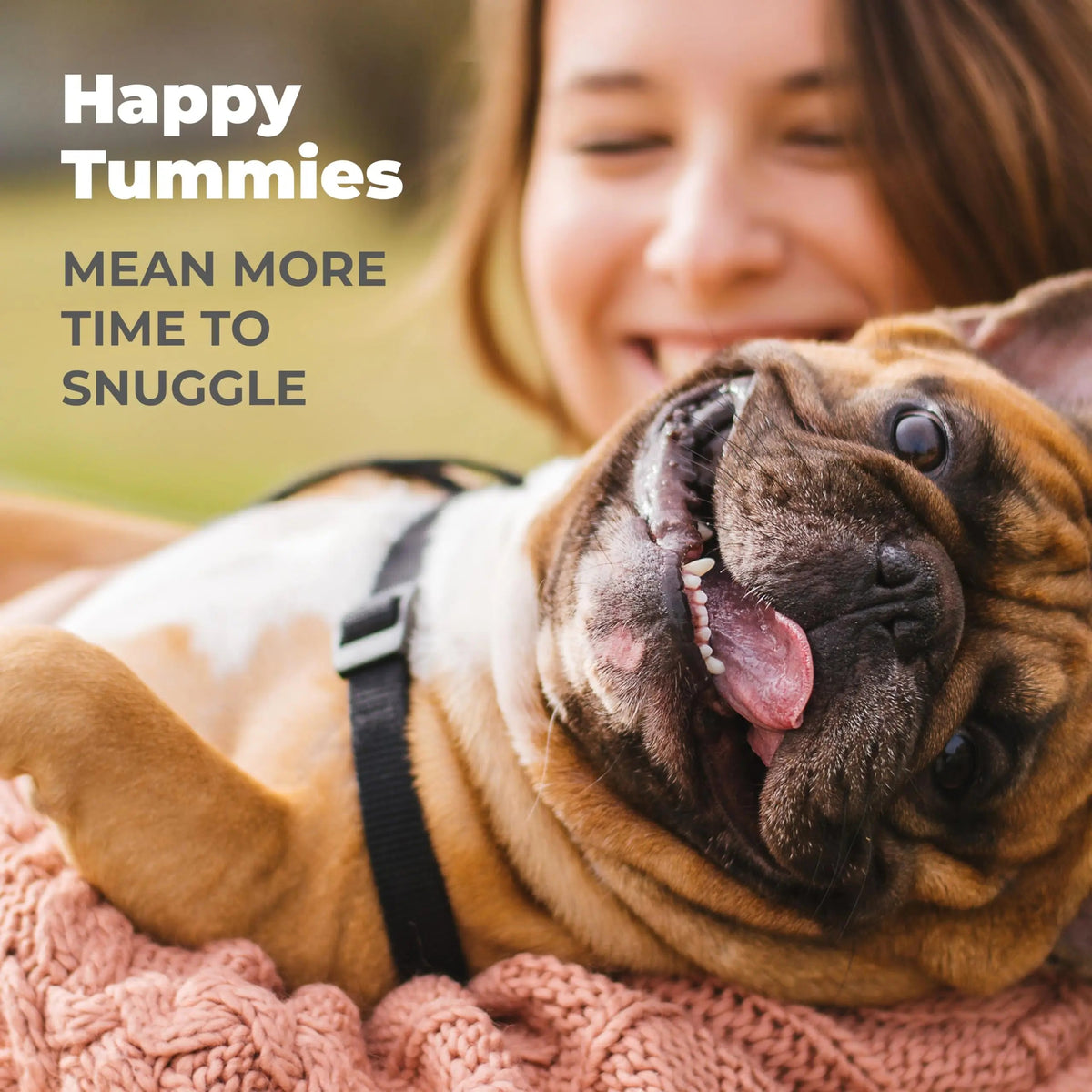 Vetnique Glandex Daily Probiotics for Dogs with Prebiotics to Support Gut Health with Fiber and Digestive Enzymes, Dog Probiotic Chews or Powders (30ct Chews, Bacon Chews) VetniqueBuy Supplements Australia