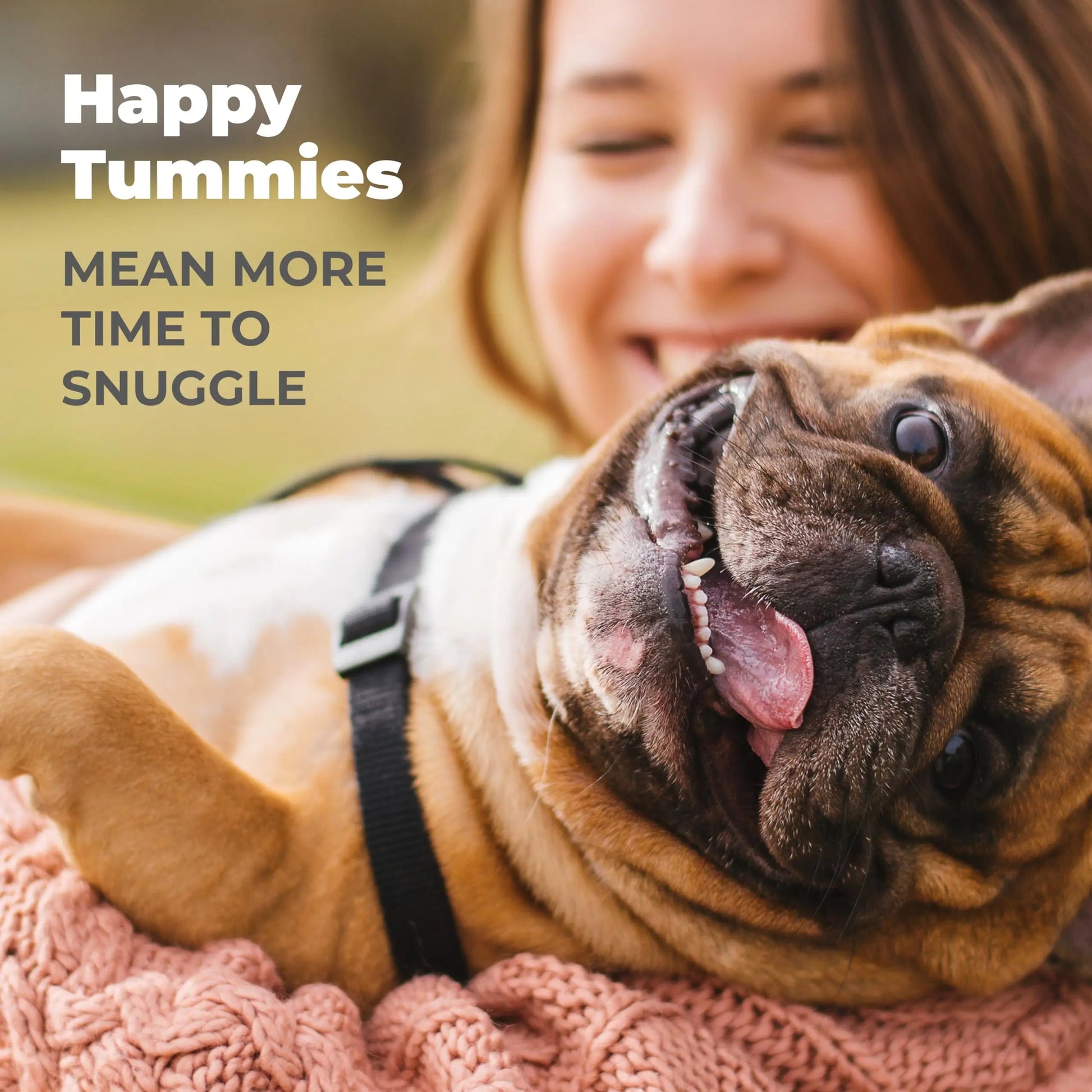 Vetnique Glandex Daily Probiotics for Dogs with Prebiotics to Support Gut Health with Fiber and Digestive Enzymes, Dog Probiotic Chews or Powders (30ct Chews, Bacon Chews) VetniqueBuy Supplements Australia