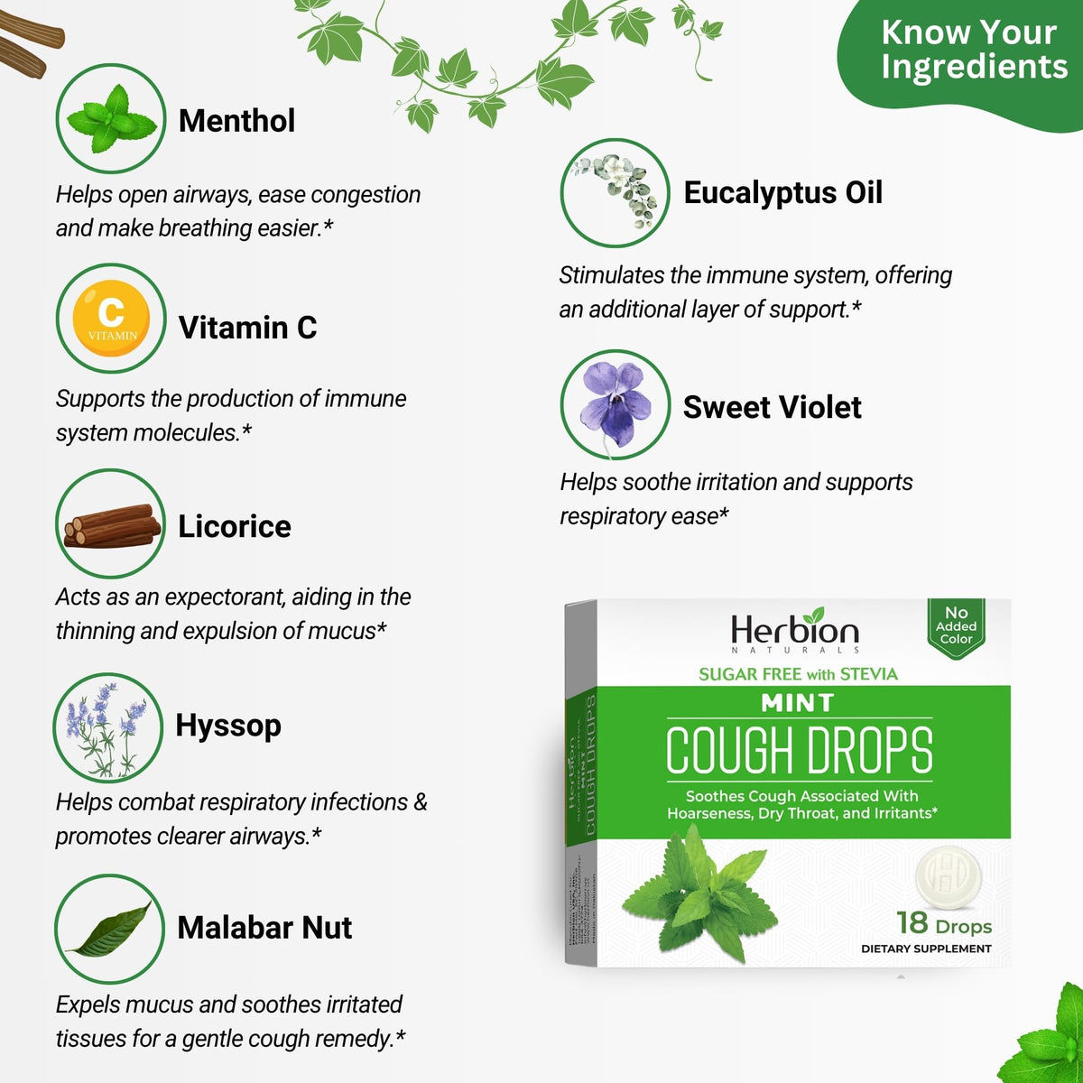 HERBION Naturals Cough Drops, Sugar Free with Stevia, Dietary Supplement, Soothes Cough, for Adults & Children Over 6 Years, 18 Count, Mint, Pack of 1 HERBION buy supplements Au
