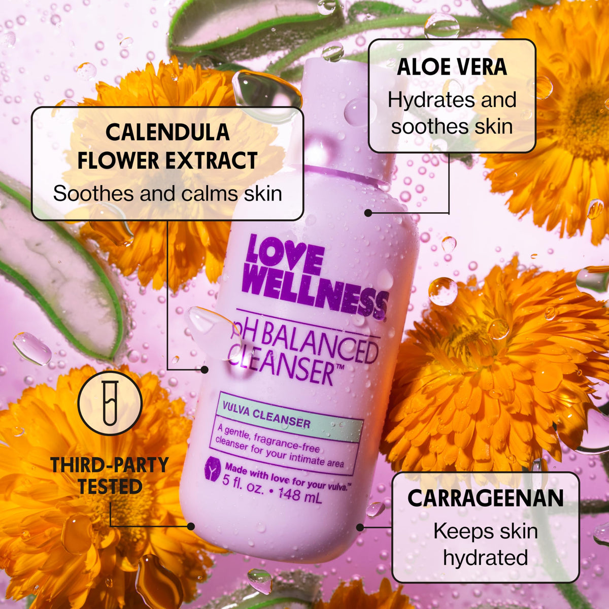 Love Wellness pH Balancing Cleanser | Feminine Vaginal Wash | Fragrance-Free | Vaginal Cleanser for Balanced pH, Intimate Health & Hygiene | Non-Irritating with Aloe Vera for Sensitive Skin | 5 Fl Oz Love WellnessBuy Supplements Australia